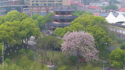 Spring Scenery of Longwang Temple Park in Wuhan, Hubei, China