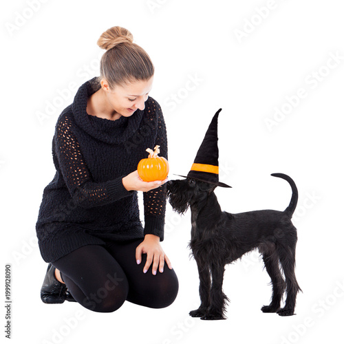 Woman holding a small pumpkin next to a Standard Schnauzer dog wearing a witch hat for Halloween, isolated  isolated on transparent or white background, png
