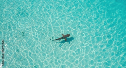 swimming in the pool