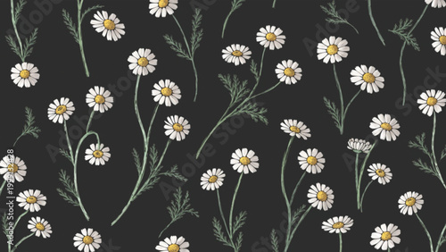 Seamless pattern of small white daisy flowers vector background
