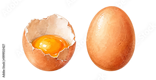 A charming watercolor set of eggs featuring a whole egg and cracked shell with rich golden yolk illustrated in a natural realistic style.