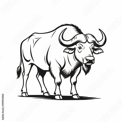 A detailed black and white illustration of a powerful buffalo or bison standing, showcasing its strong build and curved horns.