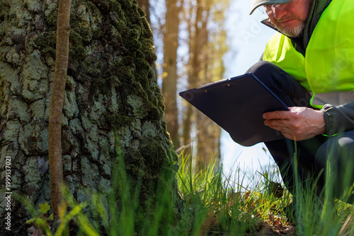Valokuva Focused male ecologist in a safety vest conducting a detailed tree trunk analysis near the roots to moss growth for a forestry conservation report and record environmental conditions