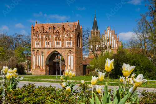 City View of Neubrandenburg, Germany