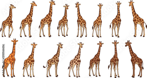 Giraffe cartoon character set with different poses vector illustration collection African wildlife long neck animals isolated design pack