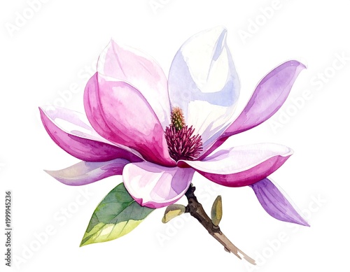 A close-up watercolor painting of a magnolia bloom, showcasing pink petals, green leaves, and a textured center