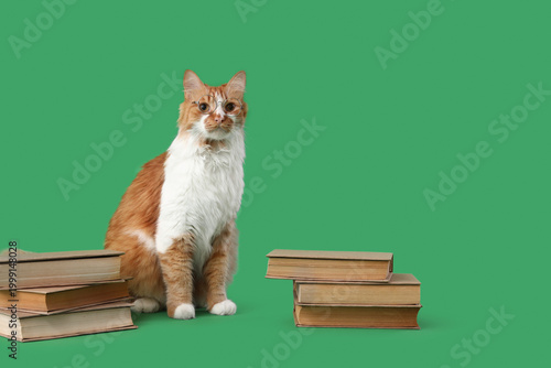 Cute cat in eyeglasses with...