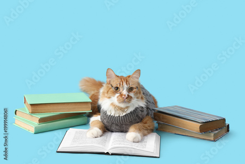 Cute cat in sweater with ey...