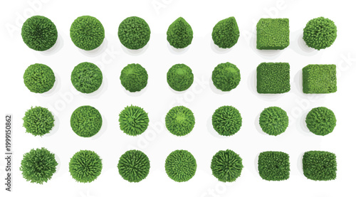 Top view of various green trees and shrubs