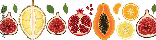 Exotic tropical fruits vector illustration set featuring durian, fig, pomegranate, papaya, orange and lemon slices with leaves, colorful fresh food collection design