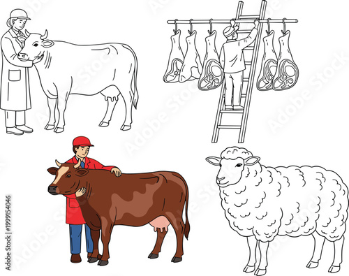 Livestock farming and meat processing vector set featuring cows and sheep, butcher workflow, animal care, hanging carcasses, agricultural and food production illustrations