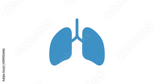 Human Lung Anatomy Illustration.