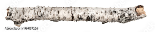 Photos piece of birch driftwood isolated white background