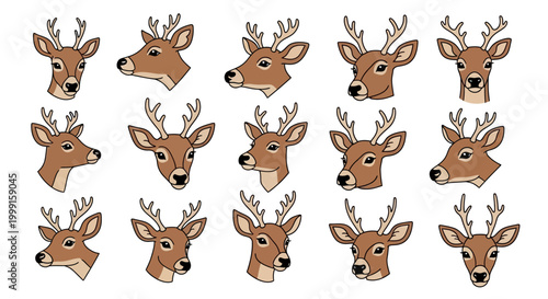 Deer head vector set, 15 buck deer icons with antlers, brown stag head illustrations for hunting and nature design, wild animal mascot collection