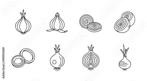 Line art set of various onion preparations and stages for culinary design