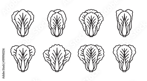 Napa Cabbage Outline Icons Representing Healthy Eating and Culinary Ingredients