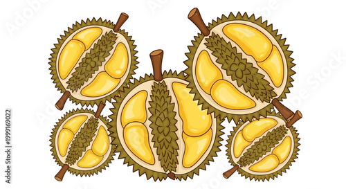 Cartoon illustration of durian fruits arranged on a white background, showcasing their distinctive spiky exteriors and creamy yellow interiors in a clean, vibrant vector design