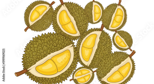 Detailed vector illustration of multiple spiky durian fruits, some sliced to reveal the yellow flesh, presented against a clean white backdrop with a playful and inviting cartoon design