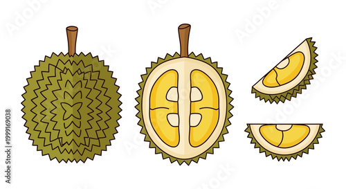 Vector illustration of a durian fruit character, showing its spiky exterior and creamy interior, with a halved and sliced composition on a white background displaying a minimalist