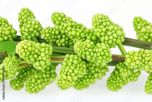 Focus on green vegetables and their unique shapes and textures in a close-up view during a food market visit