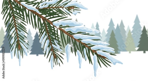 Snowy Pine Branch in Winter Forest.