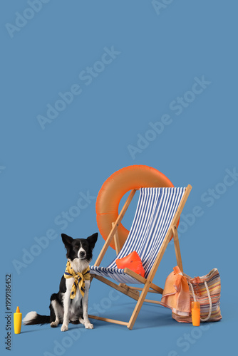 Cute Border Collie dog with...