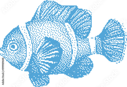 Clownfish swimming in clear ocean water with a blue hue