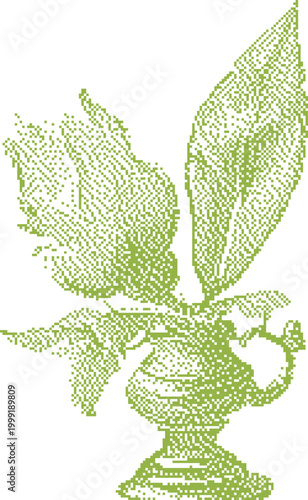 Green seedling sprout emerging from an antique oil lamp with delicate leaves against a white backdrop