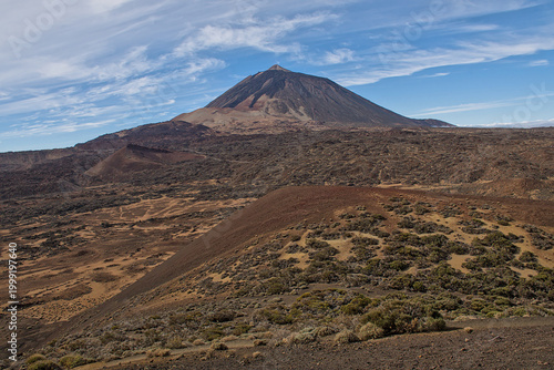 Tableau sur toile Teide mountain and surrounding shrubland in Teide naitonal park, Tenerife, Canar
