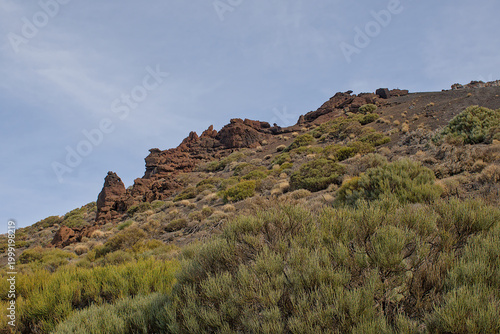 Canvas Print shrubland with brown volcanic rock formation in Teide national park, Tenerife, C