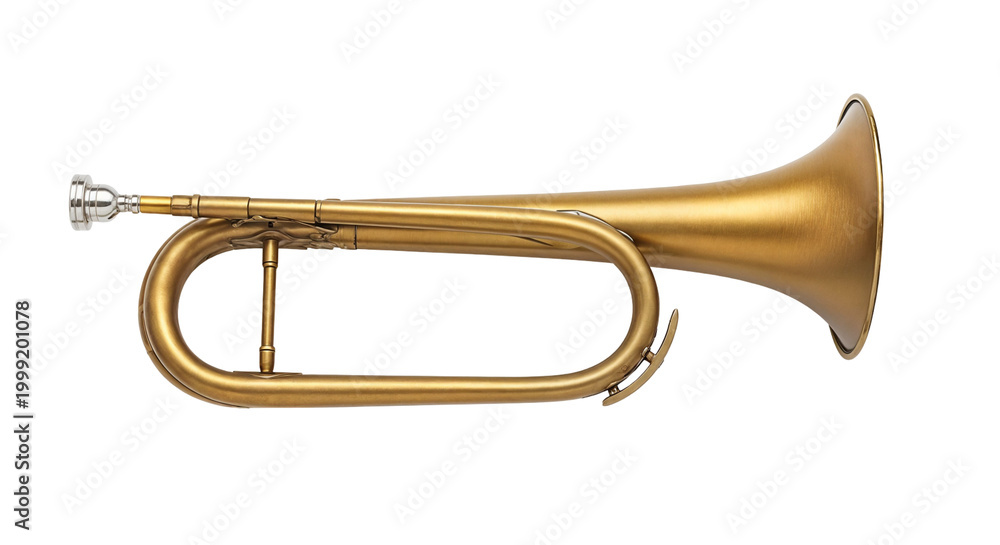 Obraz premium Golden trumpet isolated on neutral backdrop