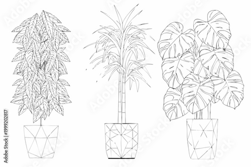 Potted plants line art three variations on white background