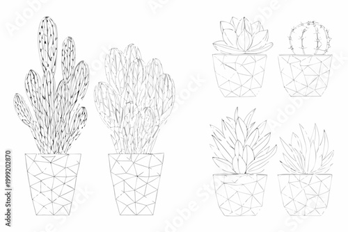 Potted cactus and succulent line art three variations on white background