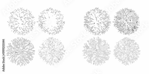 Shrub canopy collection four variants vector illustration on white background