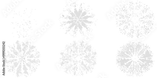 Tree canopy textures top down view set of six variations