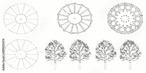 Tree canopy diagrams and silhouettes vector illustration set
