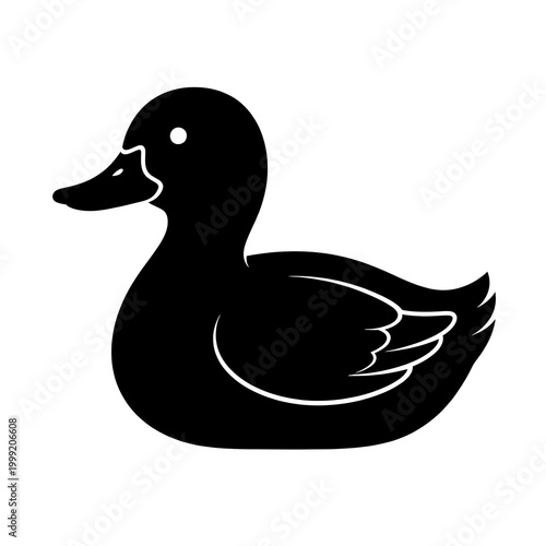 duck on white background