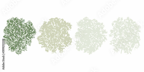 tree canopy silhouettes in four color variations on white background