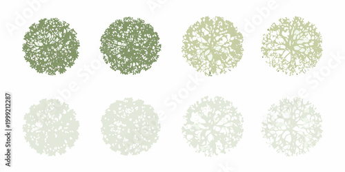 Tree canopy silhouettes in four color variations on white background