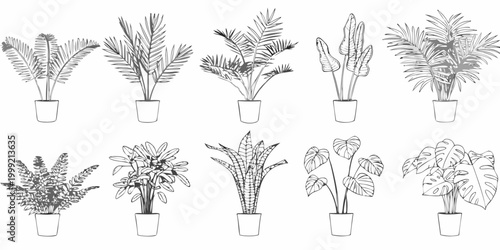 Potted plant collection twelve line drawing variants on white background