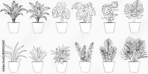 Potted plant collection twelve line drawing variants on white background
