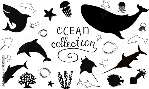 Black and white hand drawn ocean animals vector set with whale, shark, dolphins, stingrays, jellyfish, starfish, coral and sea creatures. Perfect for stickers, nursery decor, educational materials.