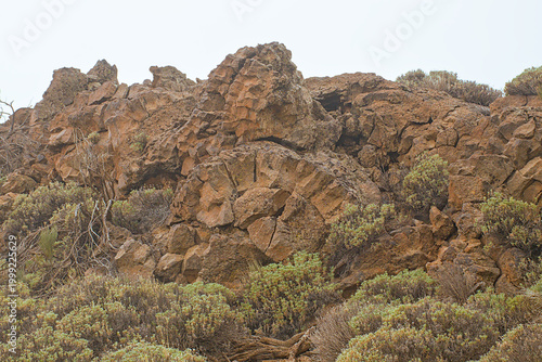 Canvastavla Rock formation and shrubland in Teide national park, Canary islands, Spain