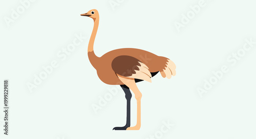 A cartoon ostrich with brown feathers