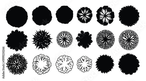 Collection of various tree top view silhouettes for landscape architectural design