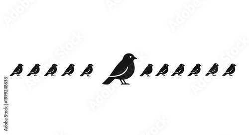 Unique Bird Stands Out From Flock, Individuality Concept
