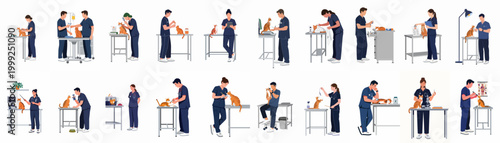 Quadro su tela Comprehensive collection of flat vector illustrations showing veterinarians in scrubs examining, treating, and caring for orange tabby cats in a veterinary clinic setting