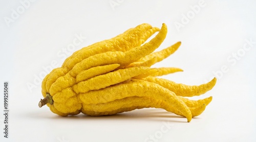Buddha's Hand Fruit on White Background, Citrus medica var. sarcodactylis
