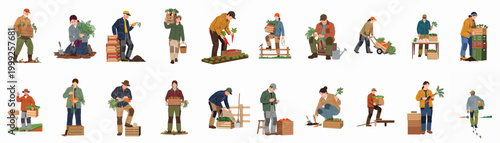 A diverse collection of illustrated farm workers harvesting, carrying, and sorting fresh carrots in wooden crates on a white background.