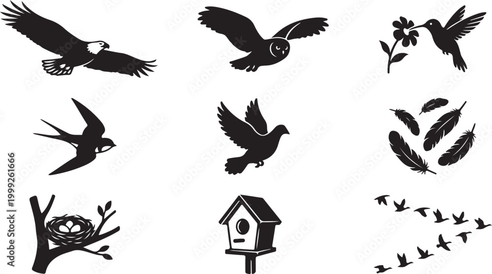 Fototapeta premium Set of black bird silhouettes including a soaring eagle, flying owl, hummingbird at a flower, swallow, pigeon, scattered feathers, a nest with eggs on a branch, a birdhouse, and a flock in flight